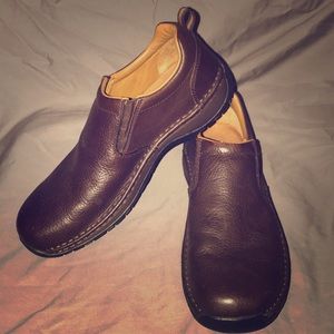 Irish Setters By Red Wing